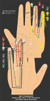 12Quellpunkte400.gif (52207 Byte)