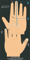 3Notfallpunkte400.gif (34591 Byte)