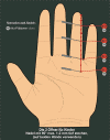 3OffnerfurKinder400.gif (22407 Byte)