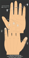 4.Paarder8Schlsselpunkte400.gif (36684 Byte)