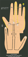 4PulsPunkte400.gif (40584 Byte)