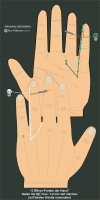 4offnerPunkte400.gif (33109 Byte)