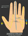 BasisbehandlungMagenMilz400.gif (25681 Byte)