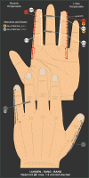 C - LUNGEN-SUNG-BANG