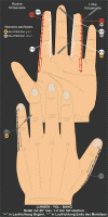 C - LUNGEN-YOL-BANG