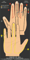 H - DNNDARM-YOL-BANG