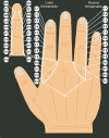 D = DICKDARM-MERIDIAN (40018 Byte)