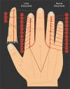 H = DNNDARM-MERIDIAN (32495 Byte)