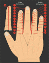 L = SAMCHO-MERIDIAN (31170 Byte)