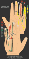 HapPunkte400.gif (54053 Byte)