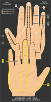 I - HARNBLASEN-JUNG-BANG