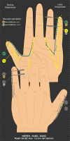 J - NIEREN-SUNG-BANG