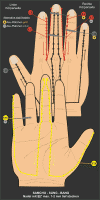 L - SAMCHO-SUNG-BANG