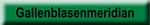 Gallenbalsenmeridian