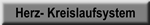 Herzkreislaufsystem
