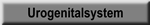Urogenitalsystem
