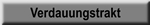 Verdauungstrakt