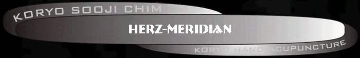 Herzmeridian