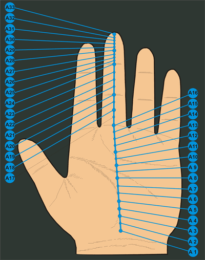 Korresp. Handmeridian A = SYMPATHIKUS