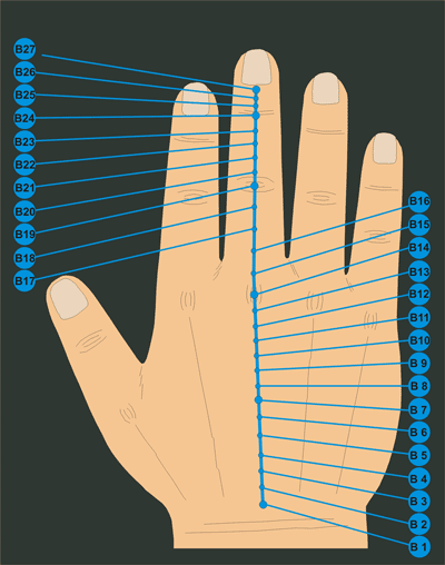 Korresp. Handmeridian B = PARASYMPATHIKUS