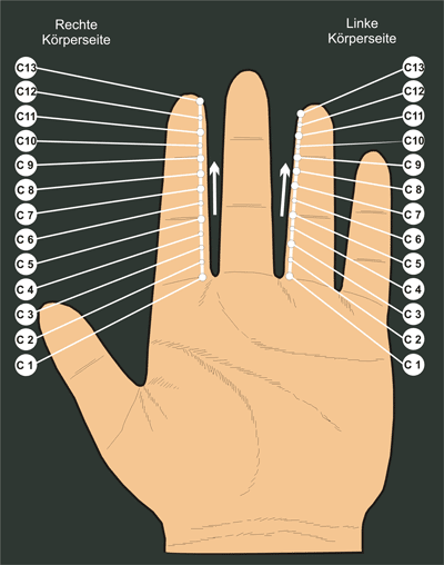 Korresp. Handmeridian C = LUNGE