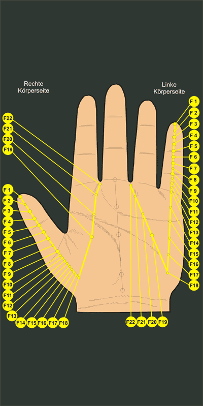 Korresp. Handmeridian F = MILZ (Pankreas)